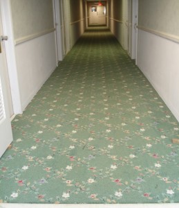 Long, empty hallway with green floral carpet and closed doors.