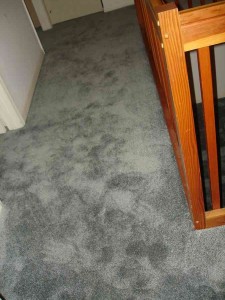 A gray carpeted floor with a wooden railing beside it.