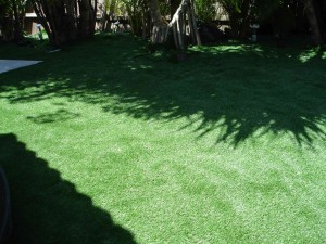 Lush green lawn with tree shadows creating a peaceful garden scene.