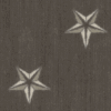 Two white stars on a dark textured background.