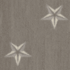 Pattern of white stars on a textured gray background.